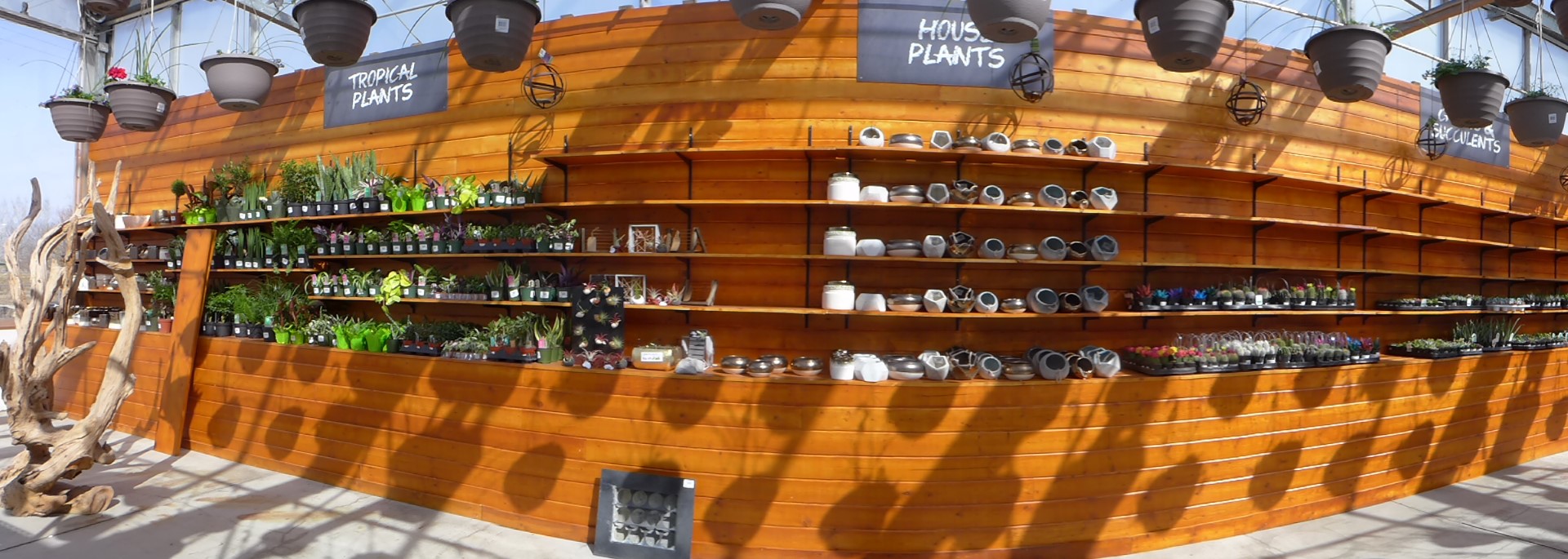 Floral Acres Saskatoon Greenhouse and Garden Centre